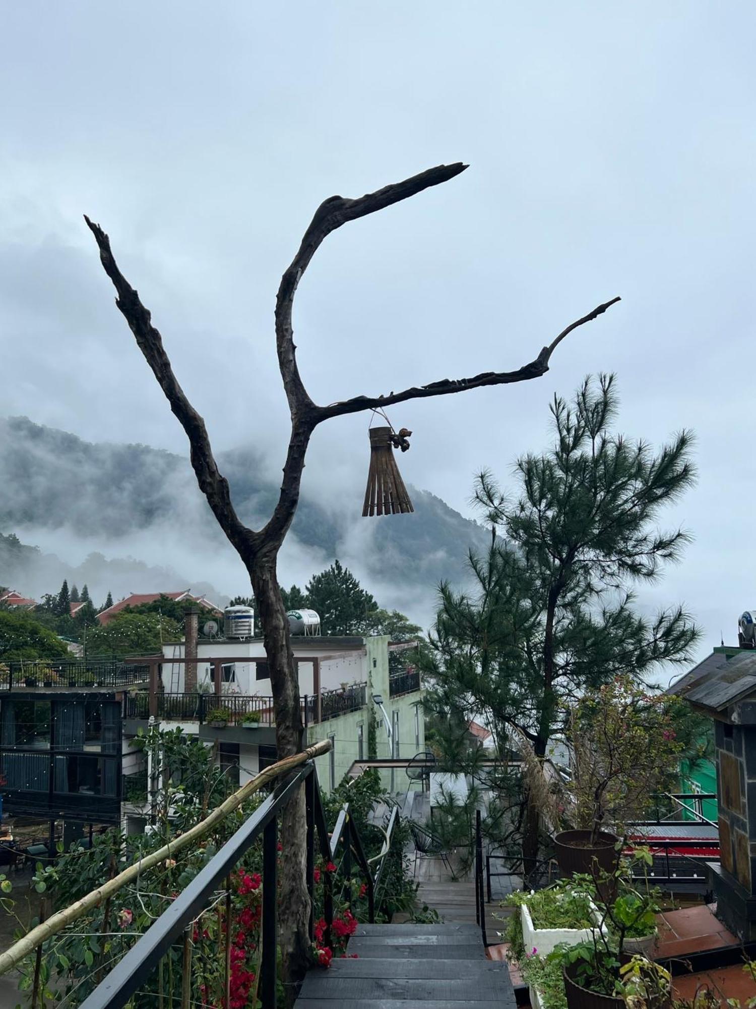 Bach Xanh House. Triangle Bungalow Tam Ðảo المظهر الخارجي الصورة