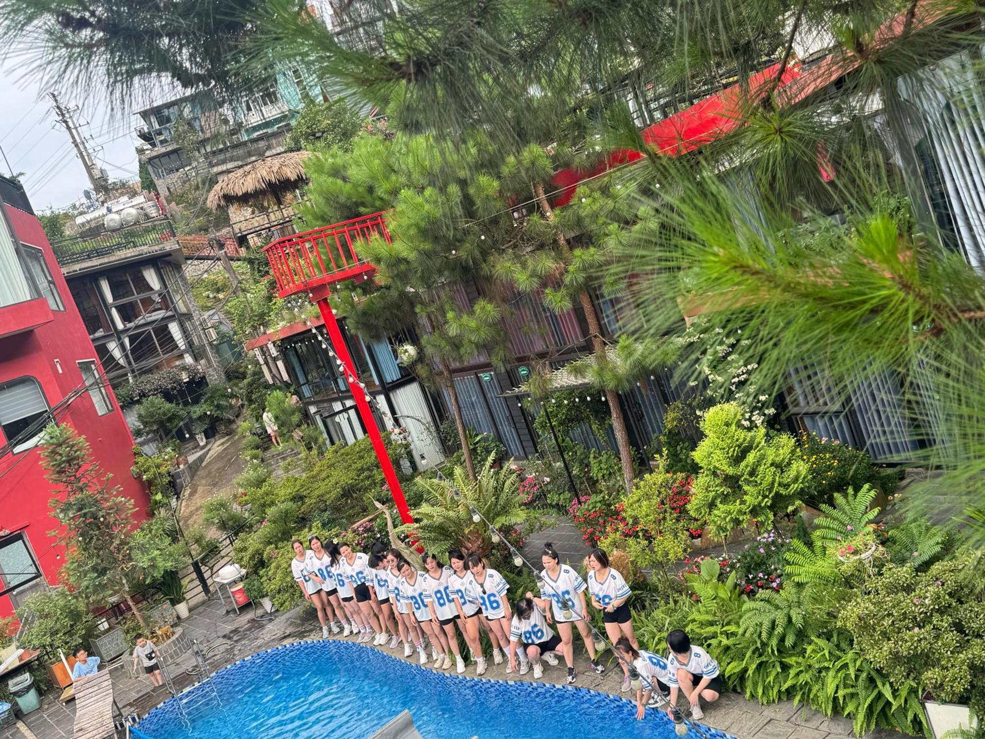 Bach Xanh House. Triangle Bungalow Tam Ðảo المظهر الخارجي الصورة